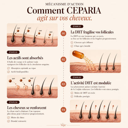 CEPARIA – Anti-Chute & Densité Capillaire