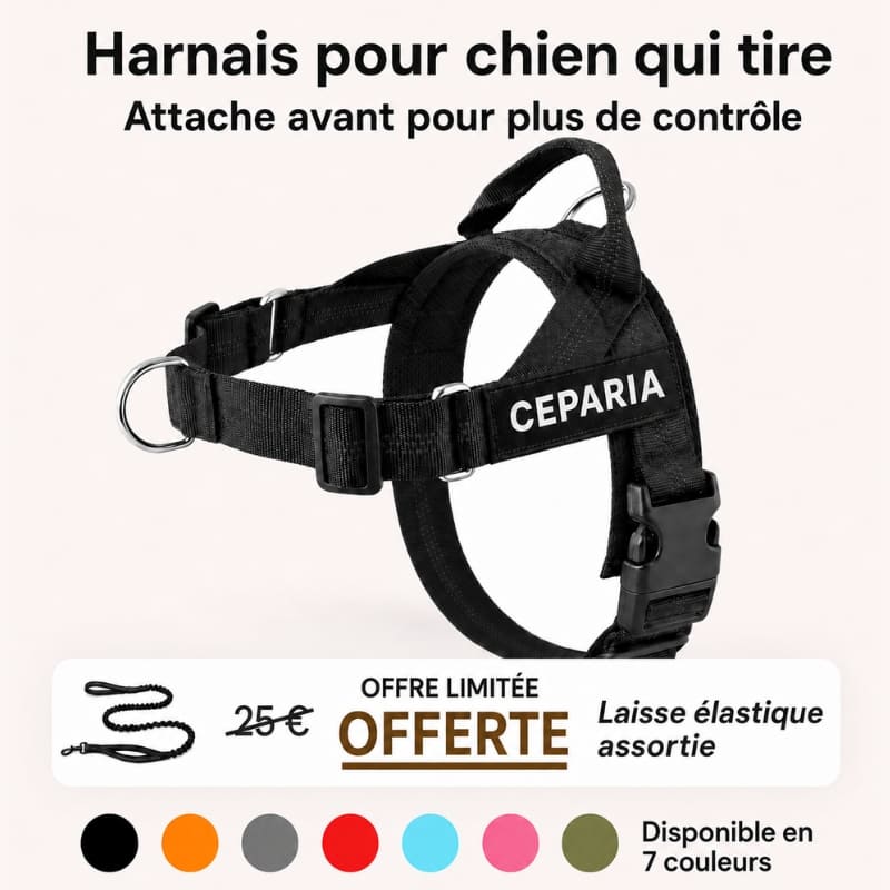 Harnais CEPARIA pour chien qui tire