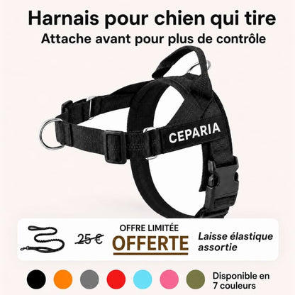 Harnais CEPARIA pour chien qui tire