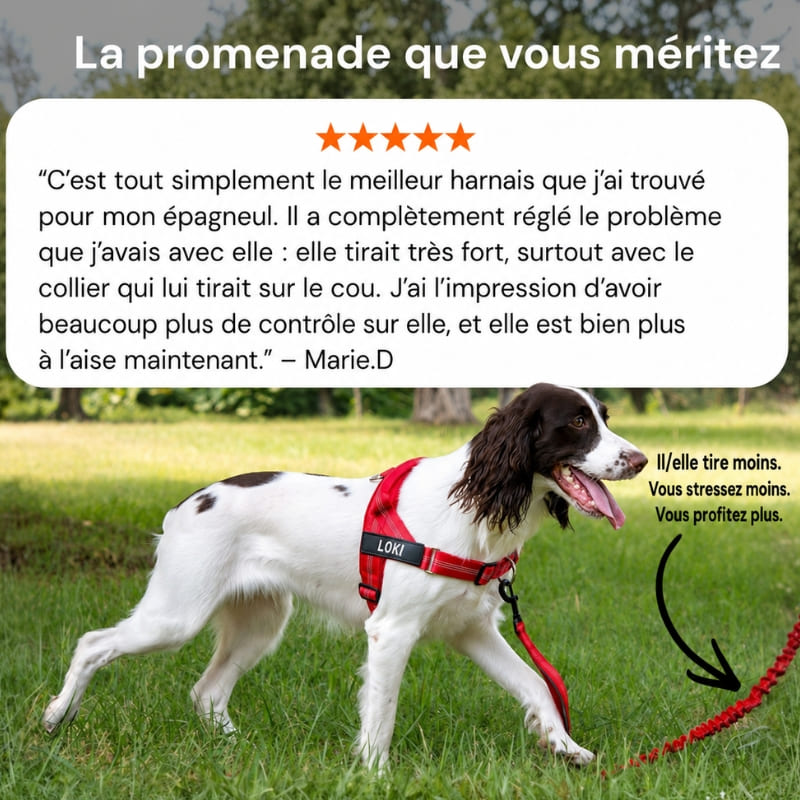Harnais CEPARIA pour chien qui tire