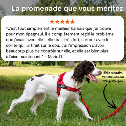 Harnais CEPARIA pour chien qui tire
