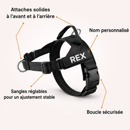 Harnais CEPARIA pour chien qui tire