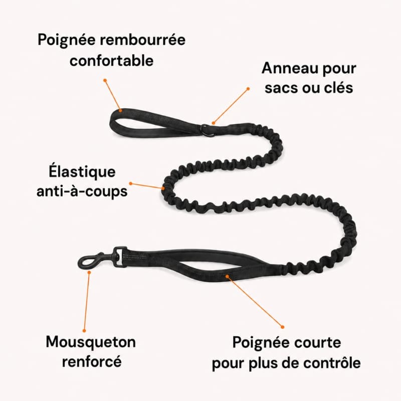 Harnais CEPARIA pour chien qui tire