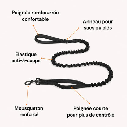 Harnais CEPARIA pour chien qui tire