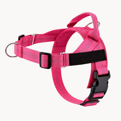 Harnais CEPARIA pour chien qui tire