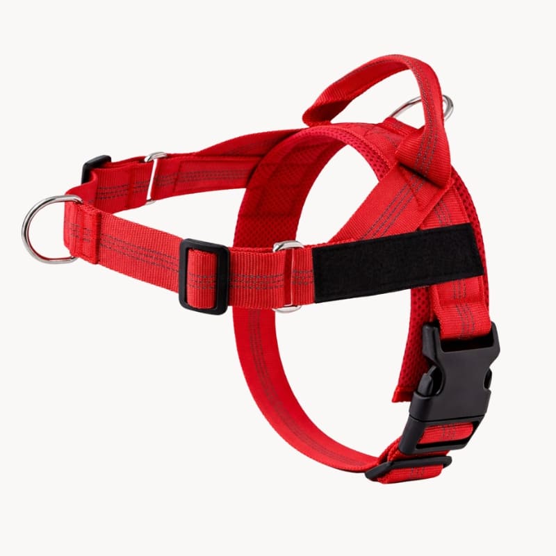 Harnais CEPARIA pour chien qui tire