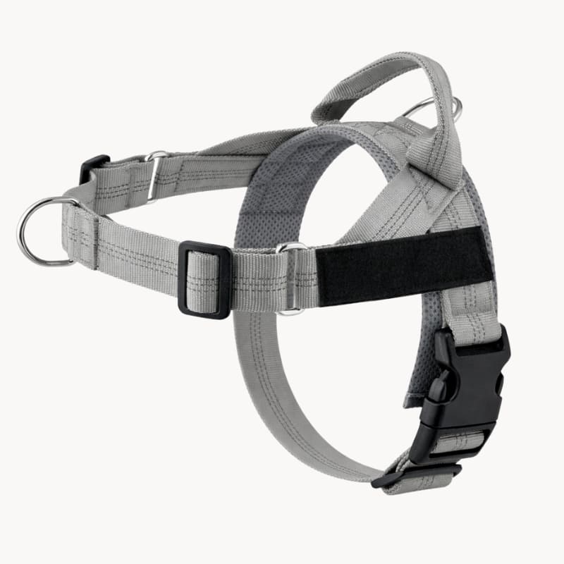 Harnais CEPARIA pour chien qui tire
