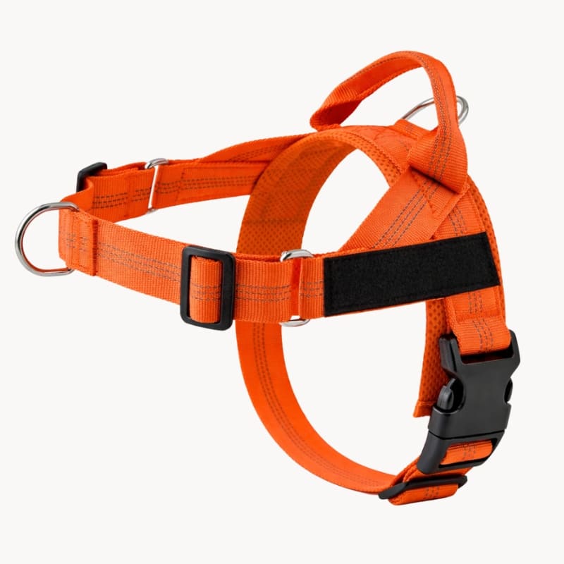 Harnais CEPARIA pour chien qui tire
