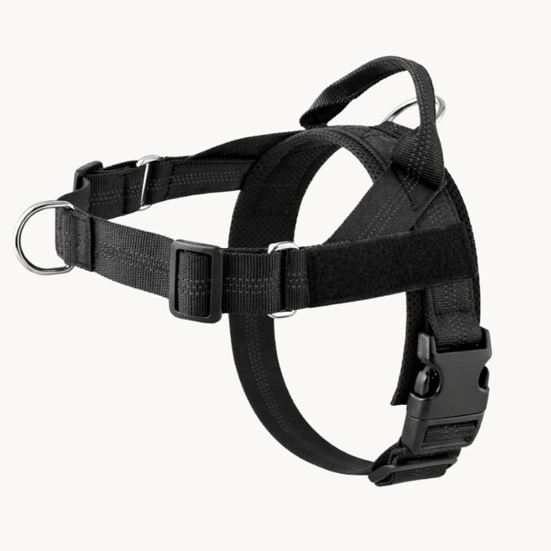 Harnais CEPARIA pour chien qui tire