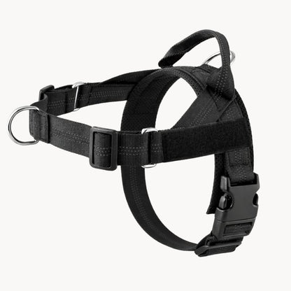 Harnais CEPARIA pour chien qui tire