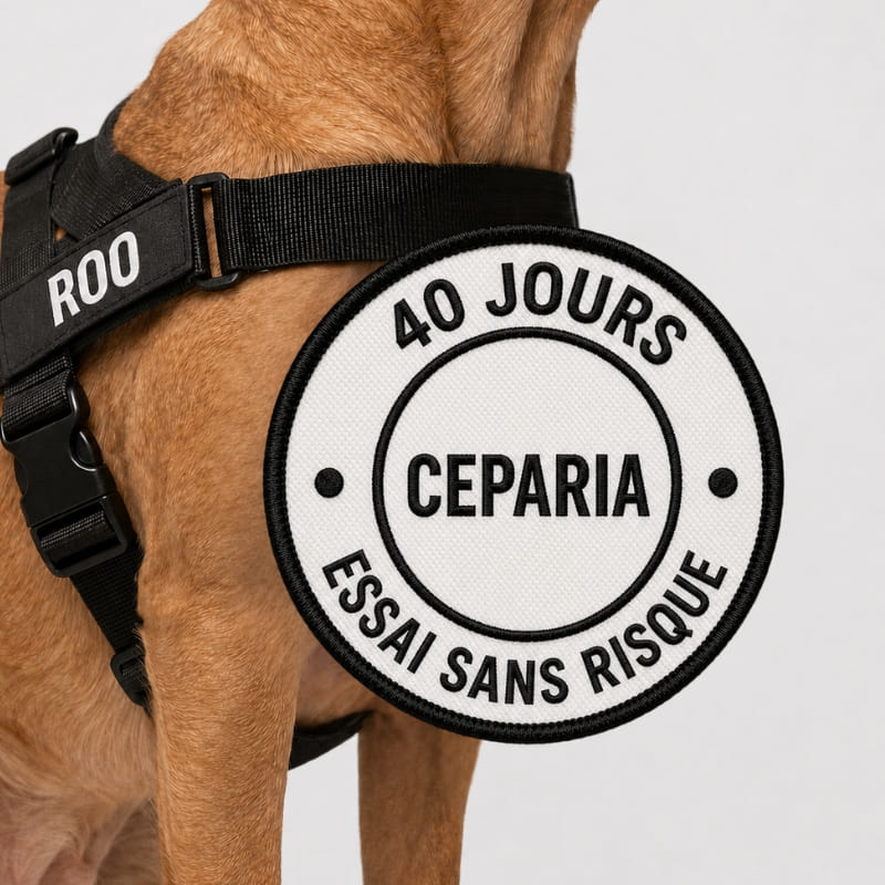 Harnais CEPARIA pour chien qui tire