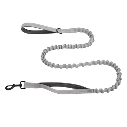 Laisse élastique offerte